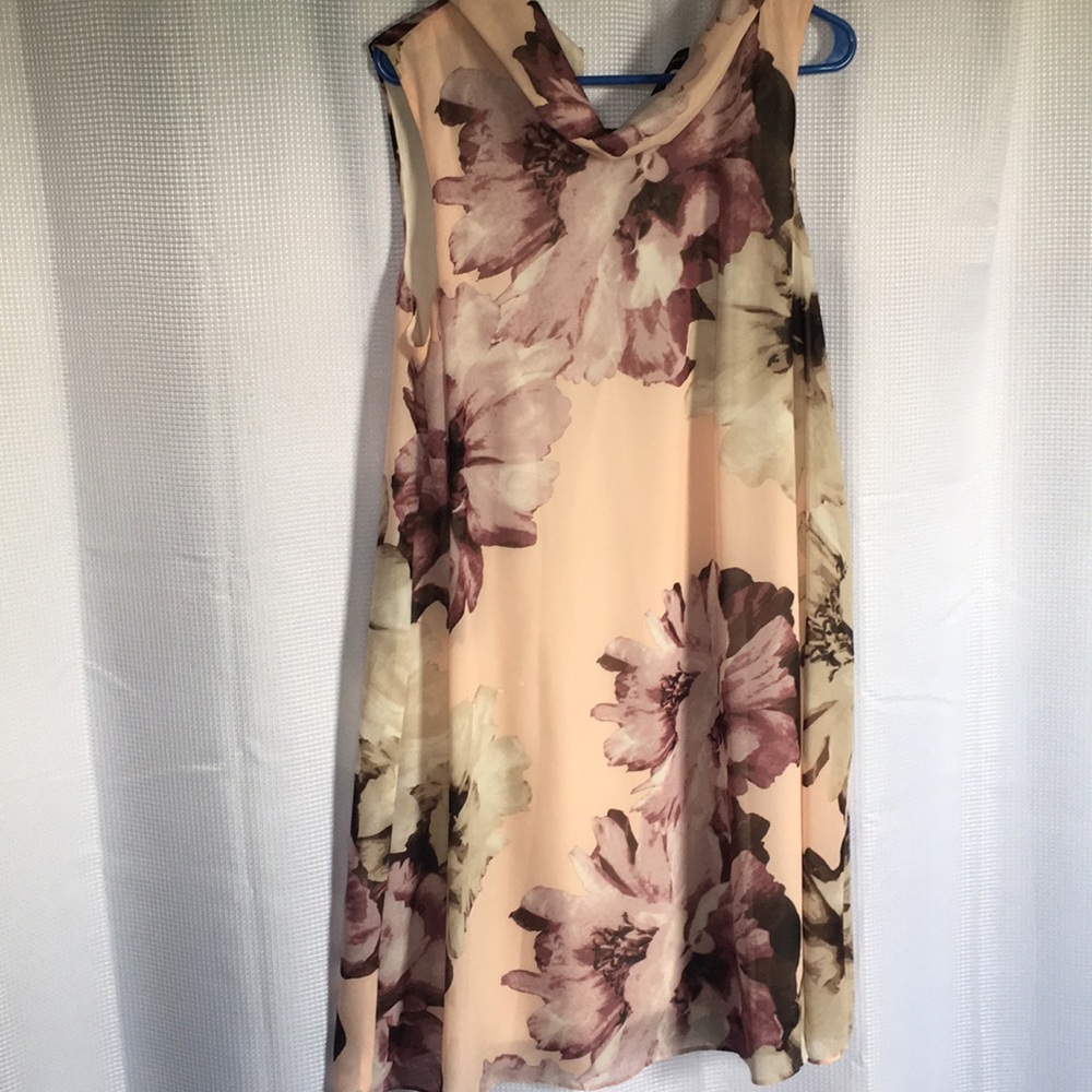 Blush Scoop Neck Dress
